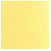 Talens Van Gogh Aliejiniai dažai 40ml 222 Naples Geltona Light