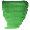 Talens Farba Van Gogh Watercolour Tube Permanent Žalias (662)
