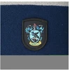Vision Harry Potter Hario Poterio skara Ravenclaw