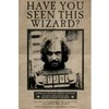 Plakatas Vision Sirius Juodas Wanted plakat