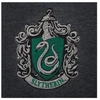 Vision Harry Potter Haris Poteris - Slytherin - pilkas megztinis - vidutinio dydžio