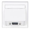 VivoLink WI221196 elektros lizdas DisplayPort Baltas