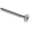 Walraven betonsraigtis 6x40 Ø17 mm - galvanizuotas, plokščias, torx 30, įtrūkusiam/neįtrūkusiam betonui. 100 vnt./dėžėje