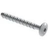 Walraven betonsraigtis 6x60 Ø17 mm - galvanizuotas, plokščias, torx 30, įtrūkusiam/neįtrūkusiam betonui. 100 vnt./dėžėje.