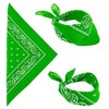 Widmann Žalia bandana