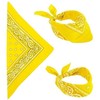 Widmann Geltona bandana