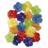 Widmann Hibisko gėlės