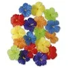 Widmann Hibisko gėlės