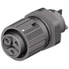 Wieland Elektrinė RST Mini serijos mini jungtis, 3 polių, lizdas, 1 krypties, montuojama ant skydo, 16A, IP66, IP68, IP69