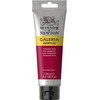 Winsor & Newton Winsor & Newton Galeria, 120 ml, Rose, Tube