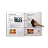 Xerox Paper Premium Never Tear PNT 145 A3 (195 g / 100 lapų, A3)