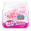 Pets Alive Gyvi gyvūnai – „Swimming Axolotl“ (9556UQ1)