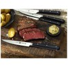 Zwilling 39029-000-0 4 dalių kepsnių peilių rinkinys