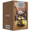 Kitchen Craft Stovas 2 aukštų 22x31cm su gaubtu
