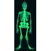 Helovino kabantis skeletas švytintis tamsoje (fluorescencinis) 33cm