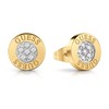 Juvelyriniai Guess auskarai JUBE02158JWYG