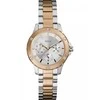Laikrodis Watches GUESS LADIES W0443L4