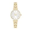 Laikrodis Watches Lee Cooper Ladies LC06362.130