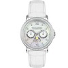 Laikrodis Watches PHILIP LAURENCE PL256SS0-34M