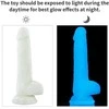 LOVETOY Lumino Play Dildo