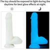 LOVETOY Lumino Play Dildo