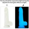 LOVETOY Lumino Play Dildo