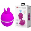 Pretty Love Flirtation Pretty Love Gemini Ball Violetinė Silicone Intimate Massager with Pulsation