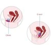 Svakom - Elva Vibrating Egg Plum Raudona