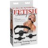 PIPEDREAM FFS Ball Gag treniruočių sistema