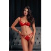 SOFTLINE Ann