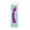 Vibrator Flovetta by Toyfa Lantana, silicone, violetinė, 22 cm