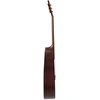 Akustinė gitara Applause AAD96-M Mahogany