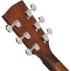 Akustinė gitara Cort Earth 60M