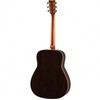 Akustinė gitara Yamaha FG830NT