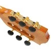 Derinimo kuoliukai klasikinei gitarai Kera Audio MGP1