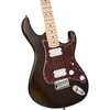 Elektrinė gitara Cort G100 OPW HH
