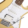 Elektrinė gitara Cort G250 CGM