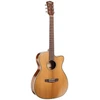 Elektro-akustinė gitara Cort Essence OC4 NSG