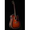 Elektro-akustinė gitara Cort MR500E BR