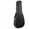 Kietas dėklas akustinei gitarai Hard Bag JTH-PM41