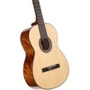 Klasikinė gitara CORT AC200-NAT