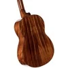 Klasikinė gitara CORT AC200-NAT