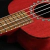 Soprano ukulelė PUKA PK-HBS su dėklu