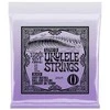 Stygos koncertinei/tenoro ukulelei Ernie Ball 2327