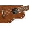 Ukulelės rinkinys Fender Seaside Soprano Uke Pack NAT WN