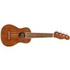 Ukulelės rinkinys Fender Seaside Soprano Uke Pack NAT WN