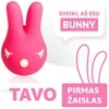 RestArt Bunny vibratorius, 6 režimai, G taško klitoris Klito spenelių stimuliavimas