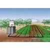 Meistro Kodas Arkinis šiltnamis KLASIKA 18 m2/4 mm danga (3x6 m)