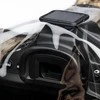 „ThinkTank Camo“ avarinis lietaus uždangalas MD