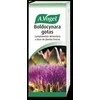 A. VOGEL Vogel Boldocynara 100ml